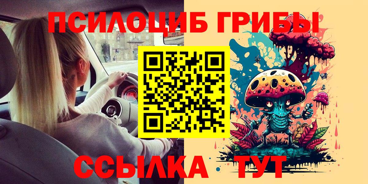 Галлюциногенные грибы прущие грибы Заводоуковск